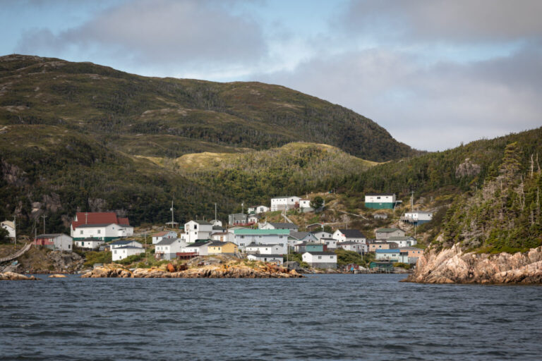 Cooke: seeks approval to convert Newfoundland trout farm into salmon nursery