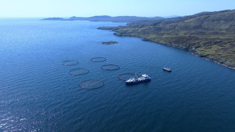 Mowi: stocks first salmon at new South Uist farm