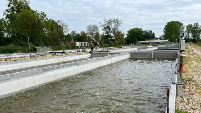 Avon Valley Salmon: how England’s first salmon farm will operate