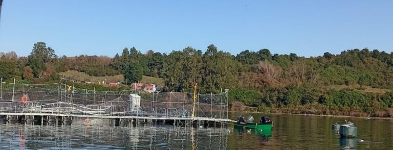 Sernapesca: rules out fish escape in Lake Llanquihue