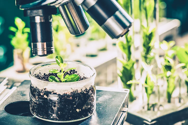 Skretting: launches plant-based feed additive approach for Norwegian salmon